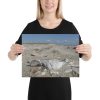 Canvas - krab geraamte - Afbeelding 2