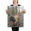 Canvas - French Bulldog pup - Afbeelding 4