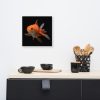 Canvas - Goldfish