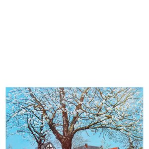 Kaart Mies Grijmans - Kersenboom